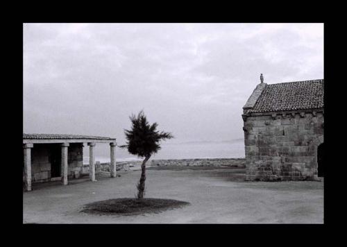 Fotografia de Carla Silva - Galeria Fotografica: Espanha - Foto: 