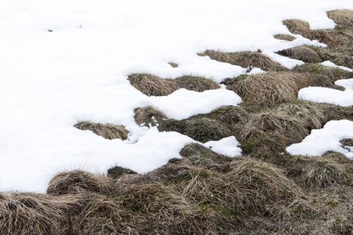Fotografia de Eduard - Galeria Fotografica: Bachimala - Foto: 