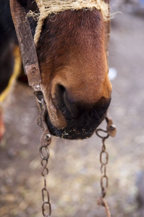 Fotografia de Eduard - Galeria Fotografica: Toubkal - Foto: 