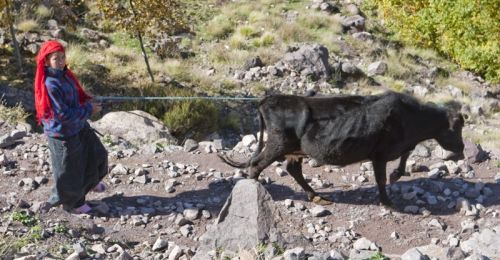 Fotografia de Eduard - Galeria Fotografica: Toubkal - Foto: 
