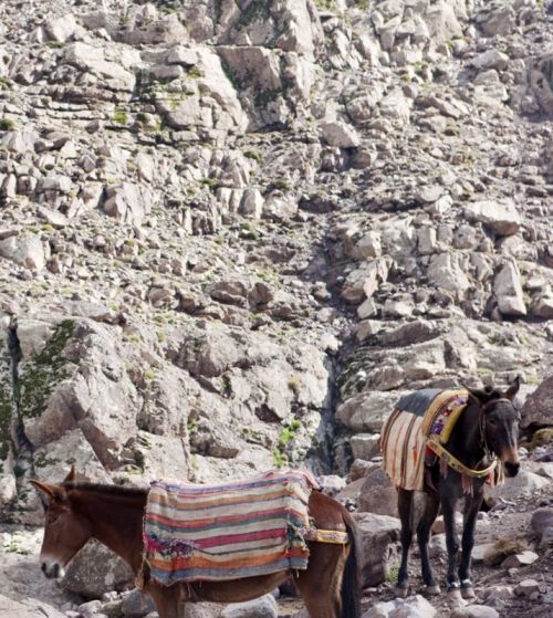 Fotografia de Eduard - Galeria Fotografica: Toubkal - Foto: 