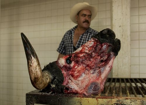 Fotografia de Allen Craig - Galeria Fotografica: Random documentary images. - Foto: 