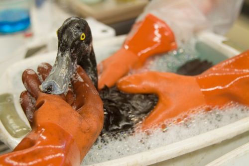 Fotografia de Allen Craig - Galeria Fotografica: Random documentary images. - Foto: 