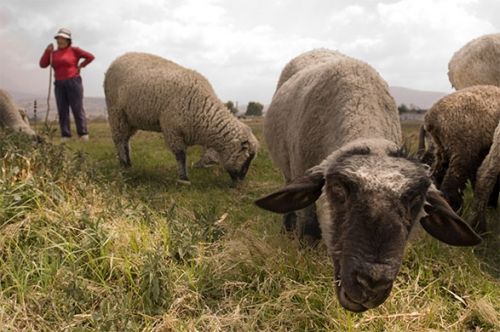 Fotografia de Allen Craig - Galeria Fotografica: Random documentary images. - Foto: 