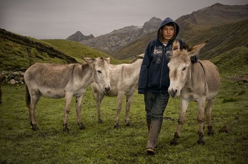 Fotografia de Allen Craig - Galeria Fotografica: Random documentary images. - Foto: Joven con Burros