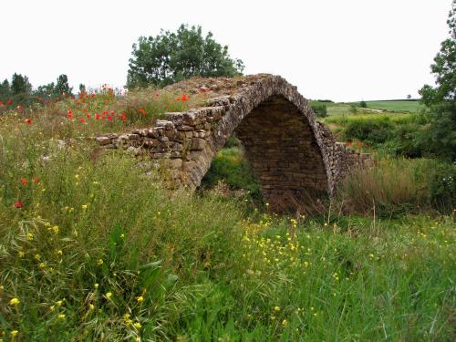 Fotografia de ayzoavin - Galeria Fotografica: Tierras de Espaa - Foto: Puente medieval en el despoblado de San Vicente