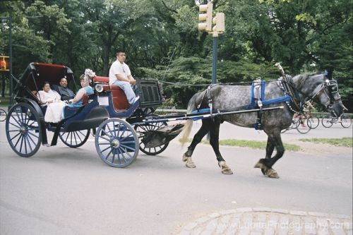 Fotografia de Lupita Photography - Galeria Fotografica: �Recuerdos para toda la vida! - Foto: 