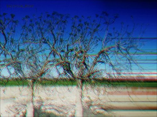 Fotografia de Keyra - Galeria Fotografica: Proyecto Jade - Foto: 