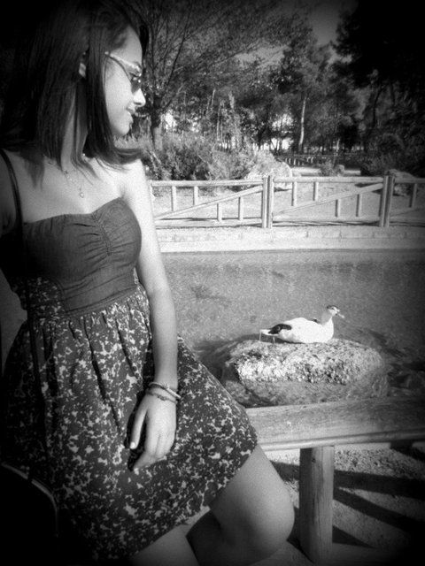 Fotografia de ELENA ARAFAT - Galeria Fotografica: ELENA ARAFAT - Foto: 