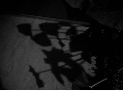 Fotografia de eMo - Galeria Fotografica: dias comunes - Foto: solo de noche