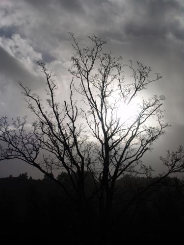 Fotografia de Esther Mguez - Galeria Fotografica: Lo que ven mis ojos - Foto: un segundo de luz