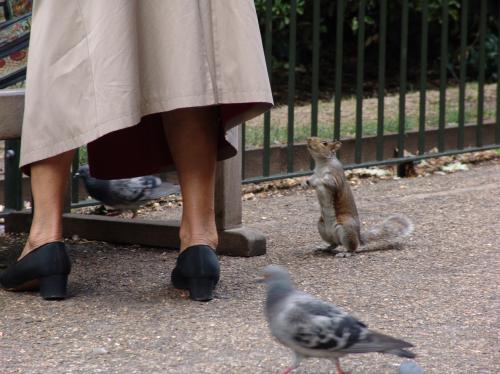 Fotografia de Esther Mguez - Galeria Fotografica: Lo que ven mis ojos - Foto: A comer!!!!