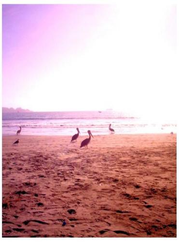 Fotografia de Soledad - Galeria Fotografica: Tarde y arena - Foto: Compa�ia