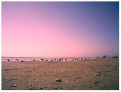 Fotografia de Soledad - Galeria Fotografica: Tarde y arena - Foto: 