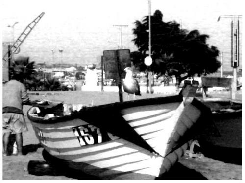 Fotografia de Soledad - Galeria Fotografica: Tarde y arena - Foto: 