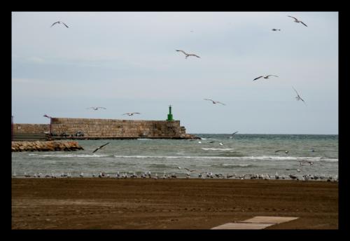 Fotografia de YAR - Galeria Fotografica: Junto al Mar - Foto: Mar.01
