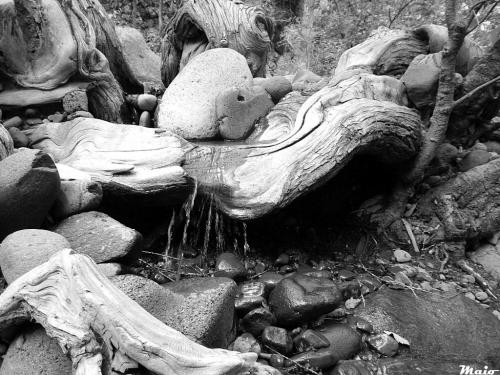 Fotografia de maio - Galeria Fotografica: Simple-Agua - Foto: Grandeza