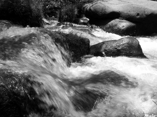 Fotografia de maio - Galeria Fotografica: Simple-Agua - Foto: Vitalidad