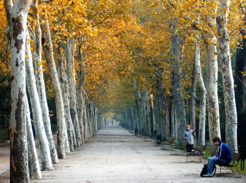 Fotografia de the_pinnups - Galeria Fotografica: MADRID - Foto: Paseo del retiro en oto�o