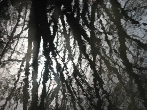 Fotografia de maiisol - Galeria Fotografica: stranger - Foto: ......