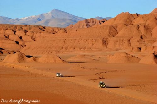 Fotografia de ARGENTINA FOTOGRAFICA - Galeria Fotografica: 6 A�OS DE SAFARIS FOTOGRAFICOS - Foto: 