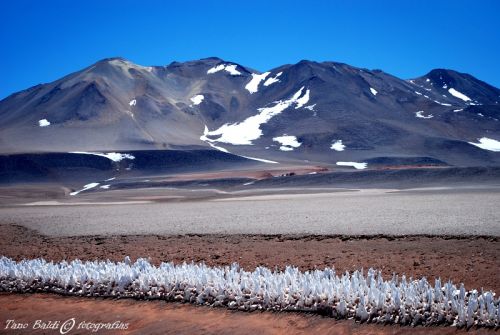 Fotografia de ARGENTINA FOTOGRAFICA - Galeria Fotografica: 6 AOS DE SAFARIS FOTOGRAFICOS - Foto: Alta Cordillera