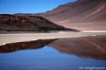 Fotos de ARGENTINA FOTOGRAFICA -  Foto: 6 AOS DE SAFARIS FOTOGRAFICOS - Laguna de aguas calientes