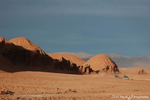 Fotografia de ARGENTINA FOTOGRAFICA - Galeria Fotografica: 6 AOS DE SAFARIS FOTOGRAFICOS - Foto: Al salar
