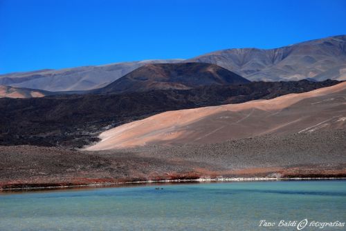 Fotografia de ARGENTINA FOTOGRAFICA - Galeria Fotografica: 6 AOS DE SAFARIS FOTOGRAFICOS - Foto: Volcan