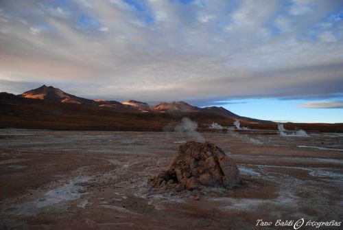 Fotografia de ARGENTINA FOTOGRAFICA - Galeria Fotografica: 6 AOS DE SAFARIS FOTOGRAFICOS - Foto: Perspectiva