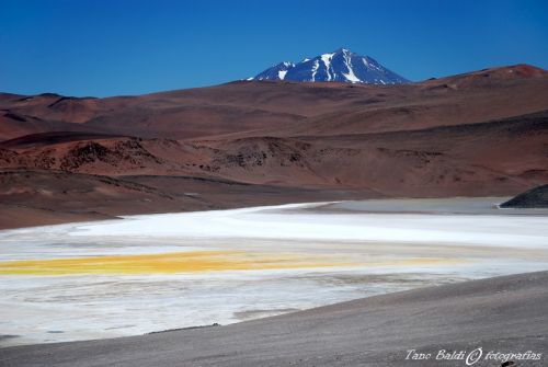 Fotografia de ARGENTINA FOTOGRAFICA - Galeria Fotografica: 6 A�OS DE SAFARIS FOTOGRAFICOS - Foto: Salar amarillo