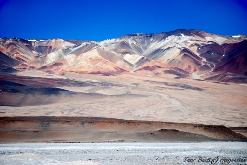 Fotografia de ARGENTINA FOTOGRAFICA - Galeria Fotografica: 6 AOS DE SAFARIS FOTOGRAFICOS - Foto: Colores