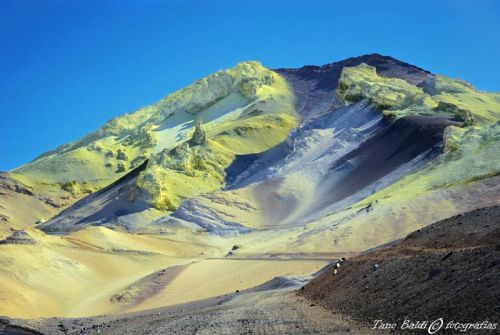 Fotografia de ARGENTINA FOTOGRAFICA - Galeria Fotografica: 6 A�OS DE SAFARIS FOTOGRAFICOS - Foto: Azufre