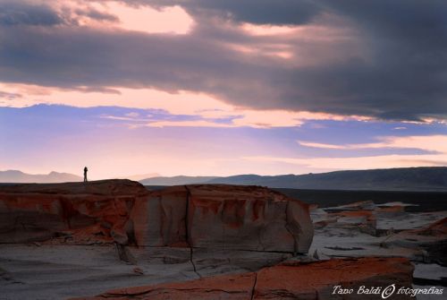 Fotografia de ARGENTINA FOTOGRAFICA - Galeria Fotografica: 6 AOS DE SAFARIS FOTOGRAFICOS - Foto: Atardecer
