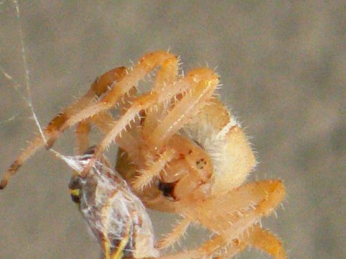 Fotografia de Francisco Jose - Galeria Fotografica: naturaleza tal cual - Foto: 