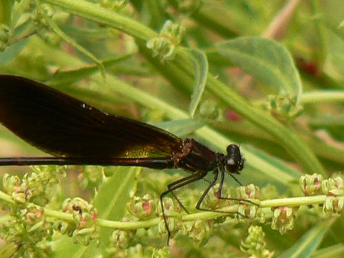 Fotografia de Francisco Jose - Galeria Fotografica: naturaleza tal cual - Foto: 