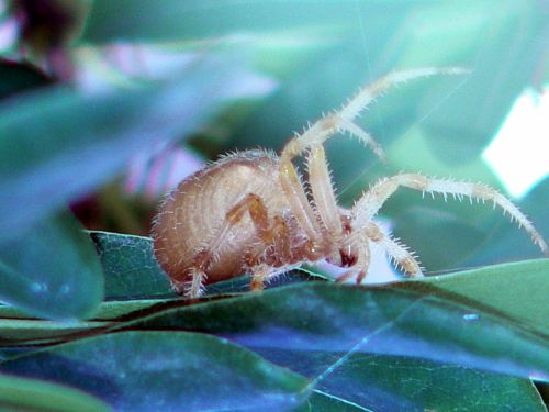 Fotografia de Francisco Jose - Galeria Fotografica: naturaleza tal cual - Foto: 