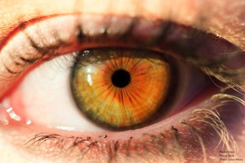 Fotografia de Sagitario24 - Galeria Fotografica: Exteriores - Foto: 