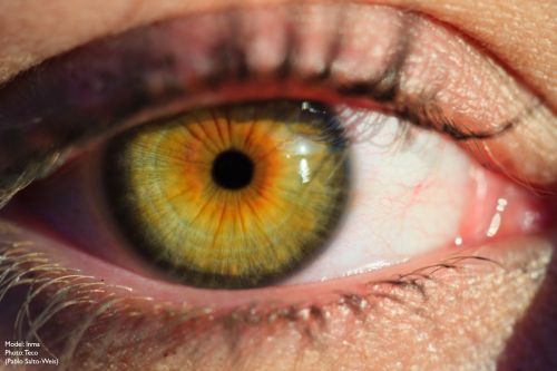 Fotografia de Sagitario24 - Galeria Fotografica: Exteriores - Foto: 