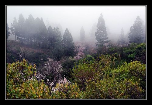 Fotografia de JustoPrez - Galeria Fotografica: Justo Photos - Foto: 