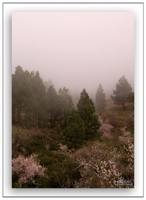 Fotografia de JustoPrez - Galeria Fotografica: Justo Photos - Foto: 