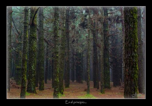 Fotografia de JustoPrez - Galeria Fotografica: Justo Photos - Foto: 