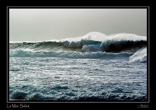 Fotografia de JustoPrez - Galeria Fotografica: Justo Photos - Foto: 