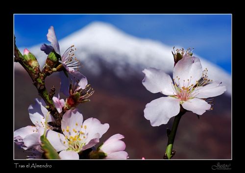 Fotografia de JustoPrez - Galeria Fotografica: Justo Photos - Foto: 