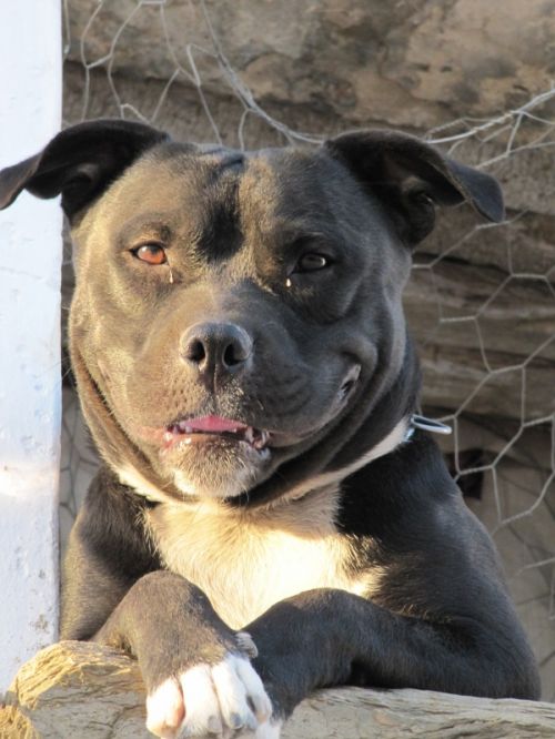 Fotografia de fabri - Galeria Fotografica: el puerto - Foto: TOY MIRANDO