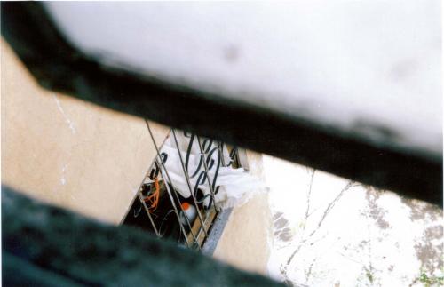 Fotografia de Christopher - Galeria Fotografica: Una pekea incursion al CoLor - Foto: Afuera