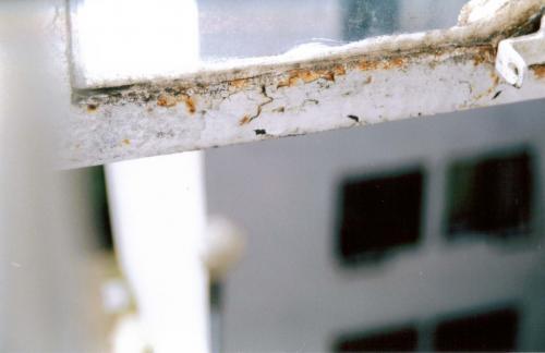 Fotografia de Christopher - Galeria Fotografica: Una pekea incursion al CoLor - Foto: Encerrado