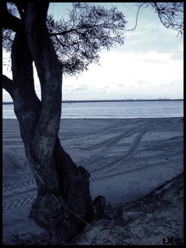 Fotografia de tXc - Galeria Fotografica: Instantes de Frialdad - Foto: V�a de Escape