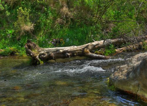 Fotografia de xavier llurba - Galeria Fotografica: Segre - Foto: 