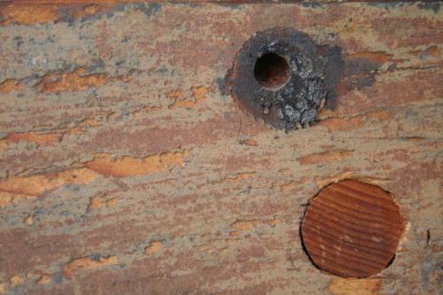 Fotografia de Momoztla - Galeria Fotografica: Cercano - Foto: Ojo por Ojo